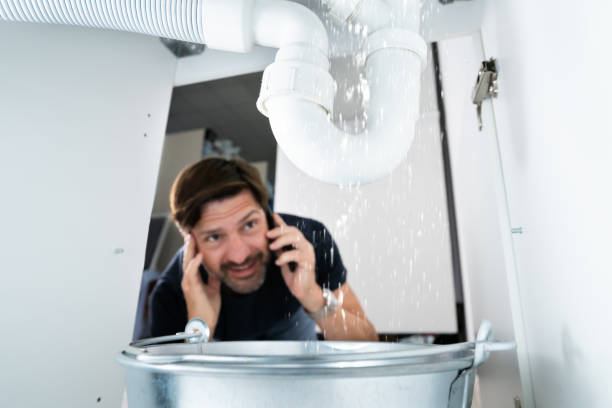 Best Local Plumber Services  in Laurium, MI